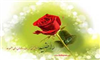 تحقیقی در سالزاد و سن حضرت زهراء علیها السلام