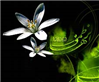راه کسب رضایت ام ابیها