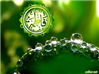 مصحف حضرت فاطمه(س)؛ تقویم اهل بیت عصمت و طهارت(ع)
