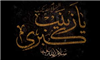 تاریخ زن آبرو می گیرد